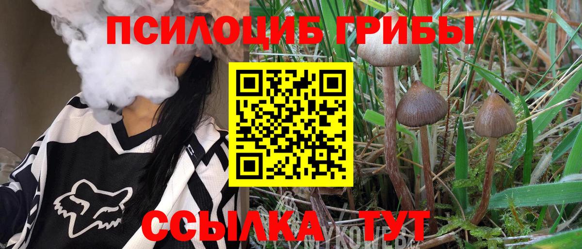 Псилоцибиновые грибы Cubensis Чистополь
